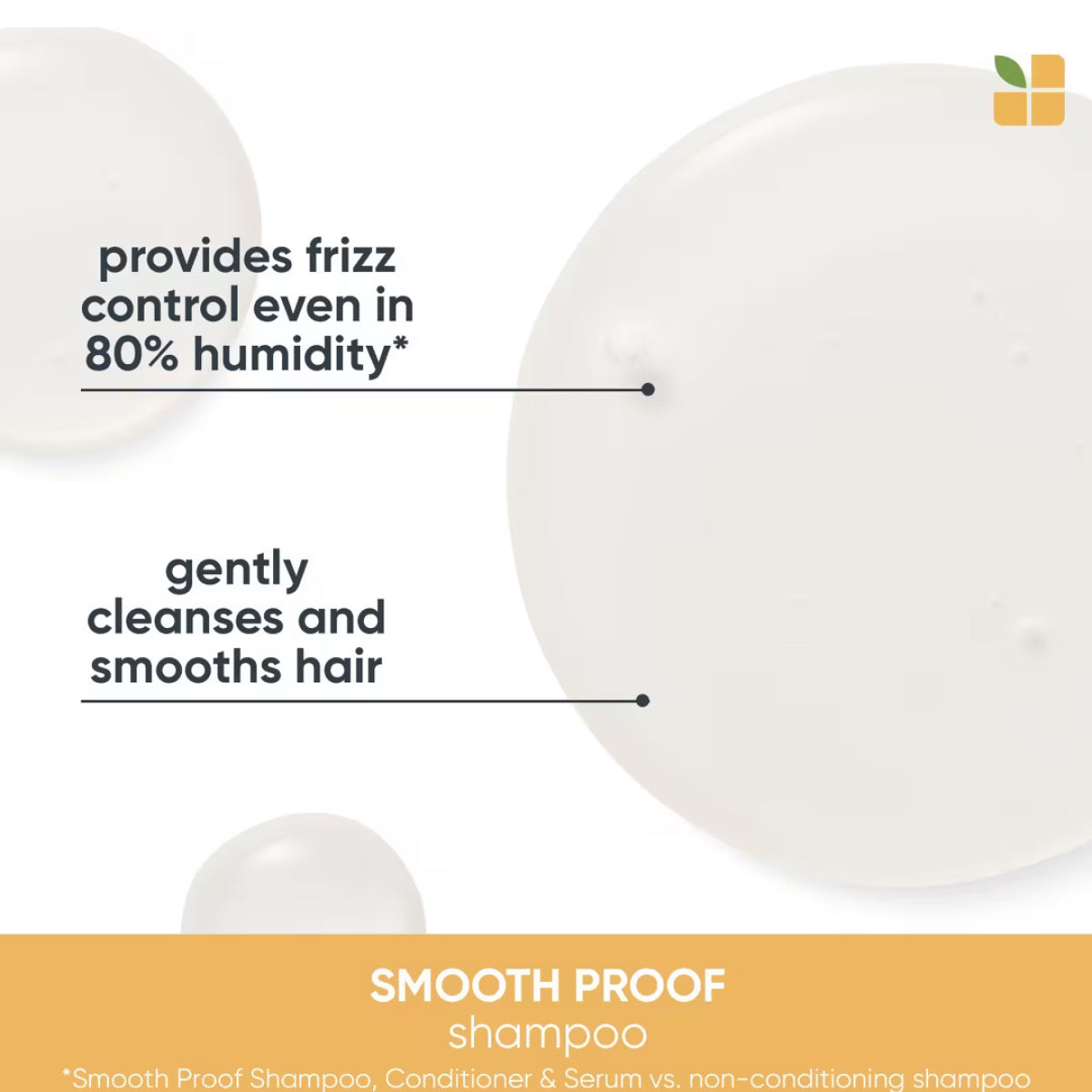 Biolage Smooth Proof Shampoo