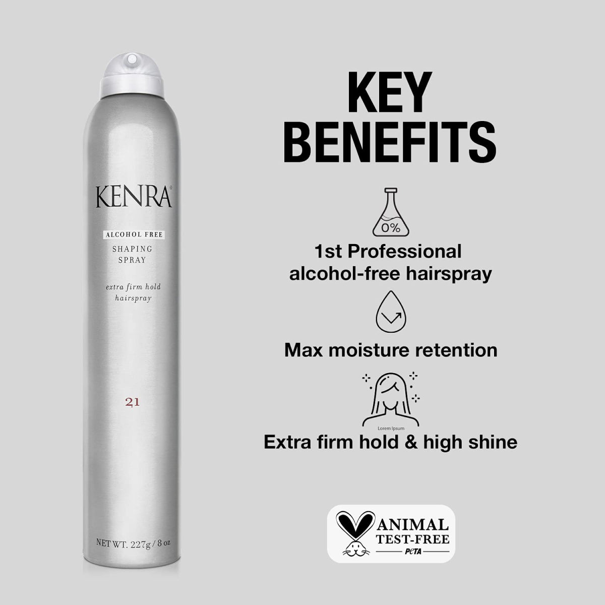 Kenra Shaping Spray 21