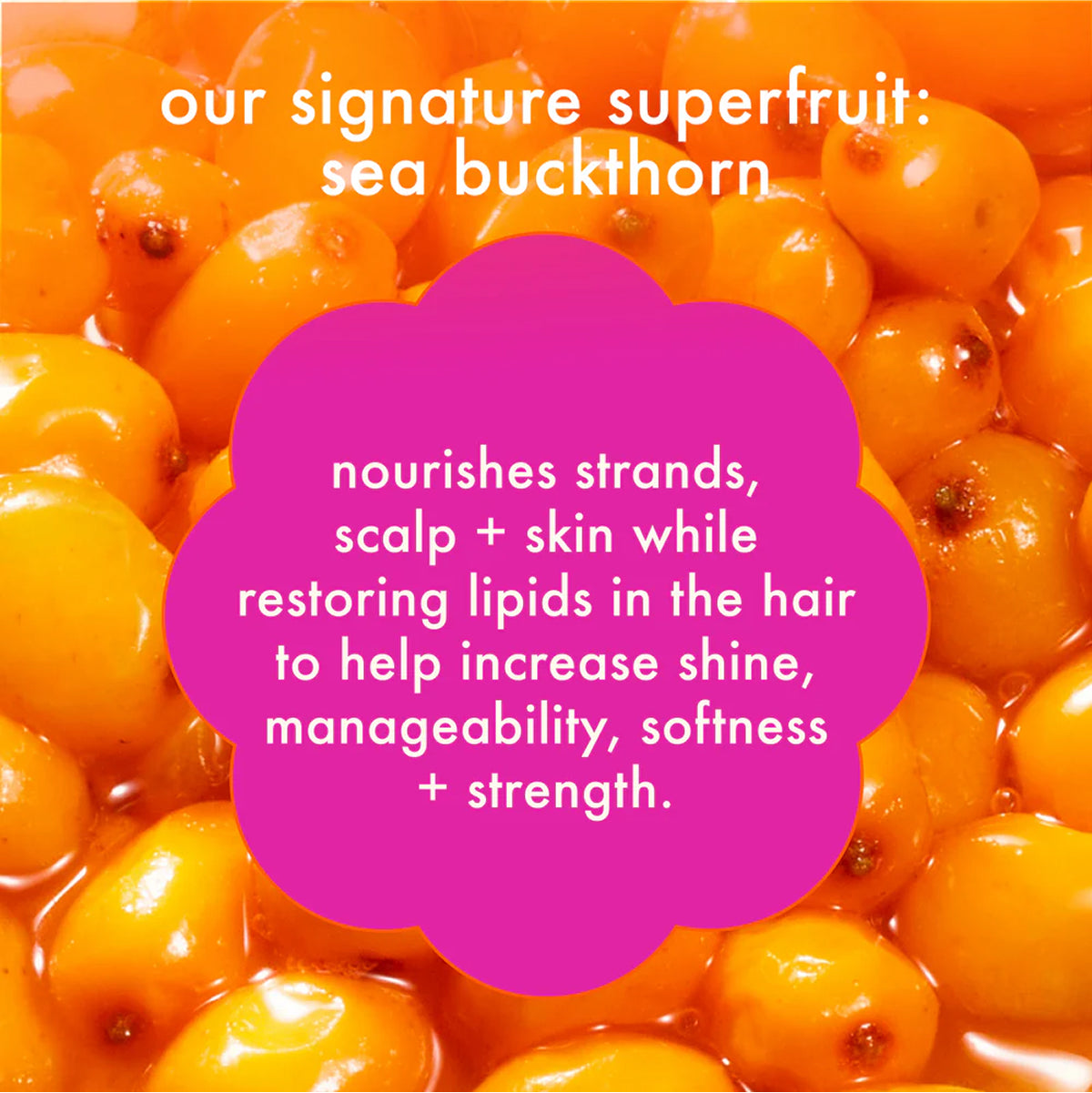 amika The Kure Repair Conditioner