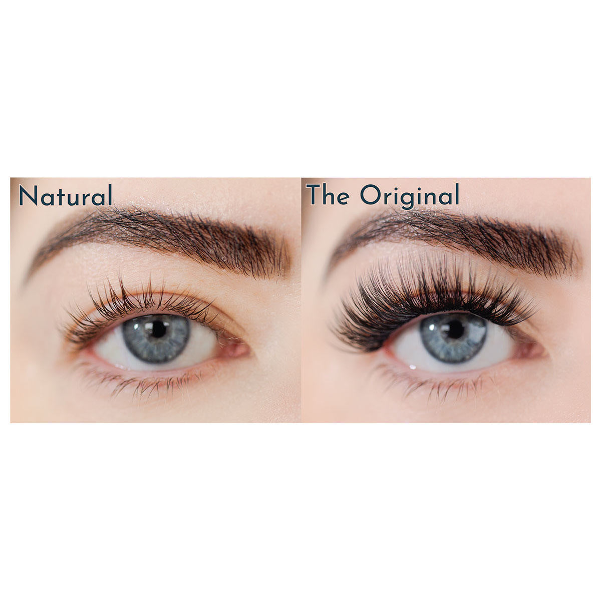 FlutterHabit The Original 2-Pack