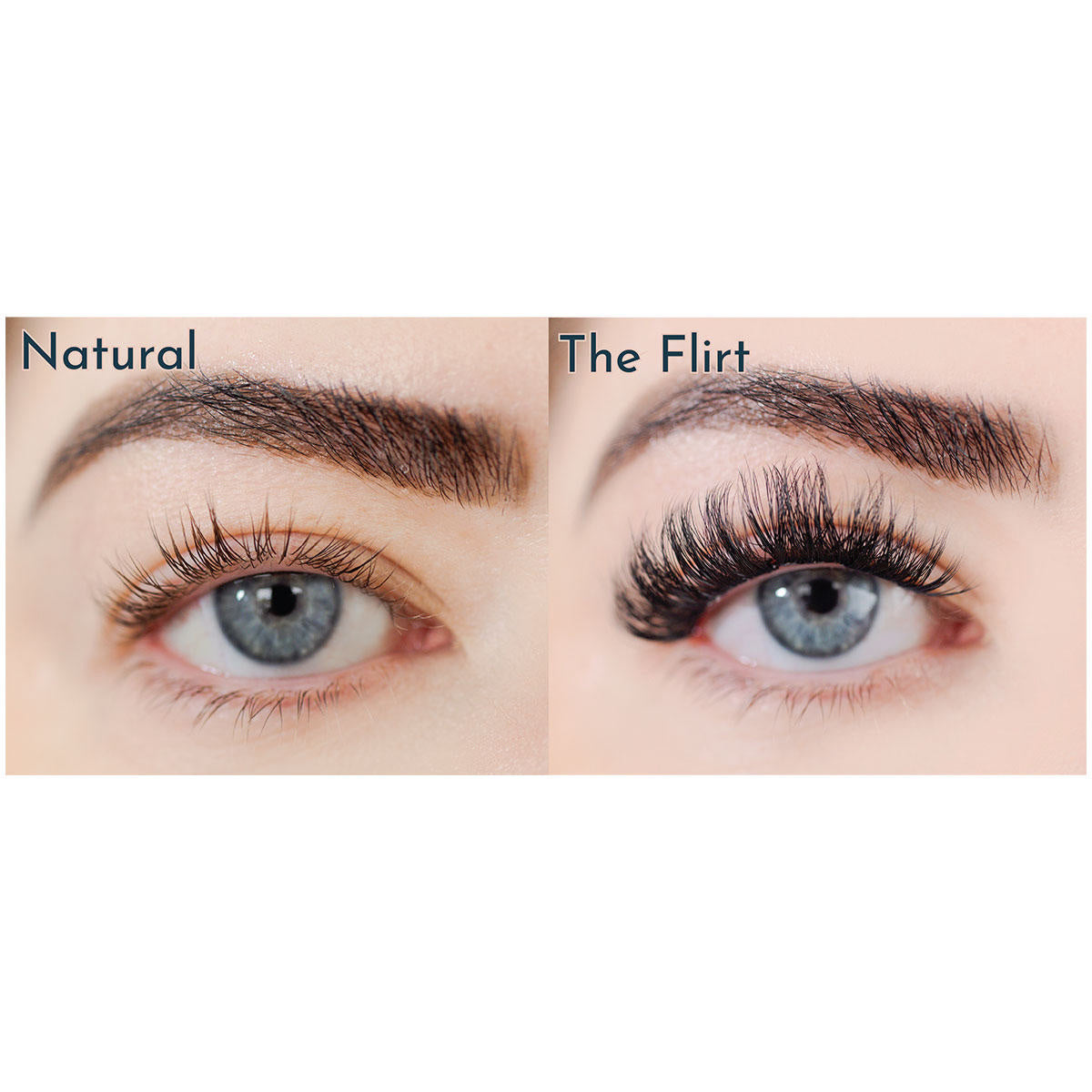 FlutterHabit The Flirt 6-Pack