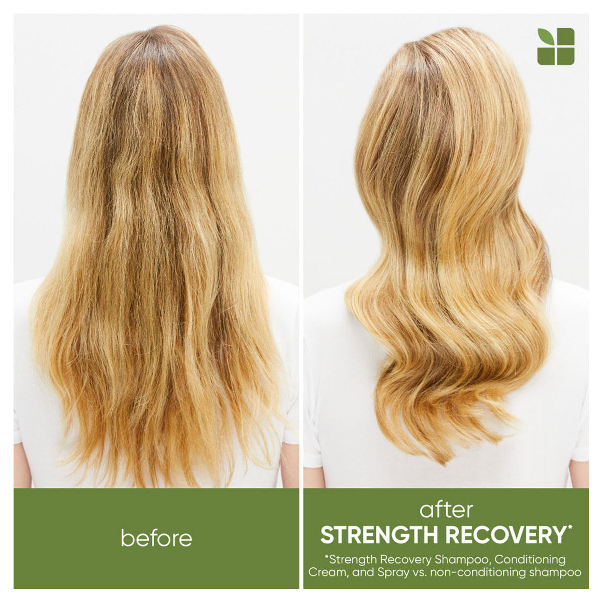 Biolage Strength Recovery Shampoo