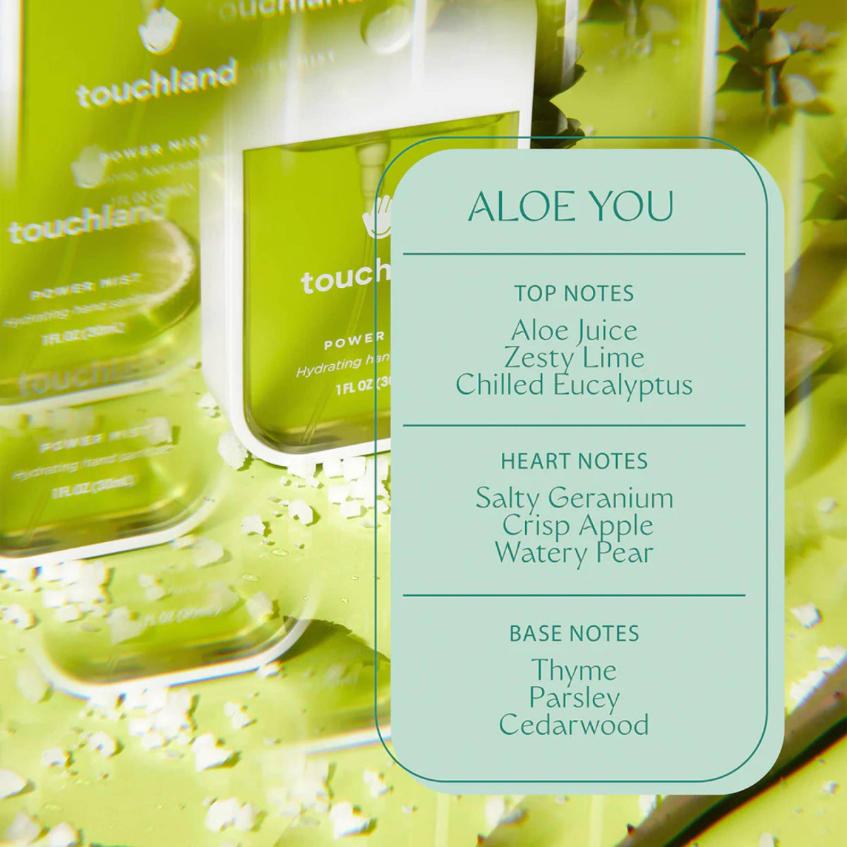 Touchland Power Mist Hydrating Hand Sanitizer - Aloe You
