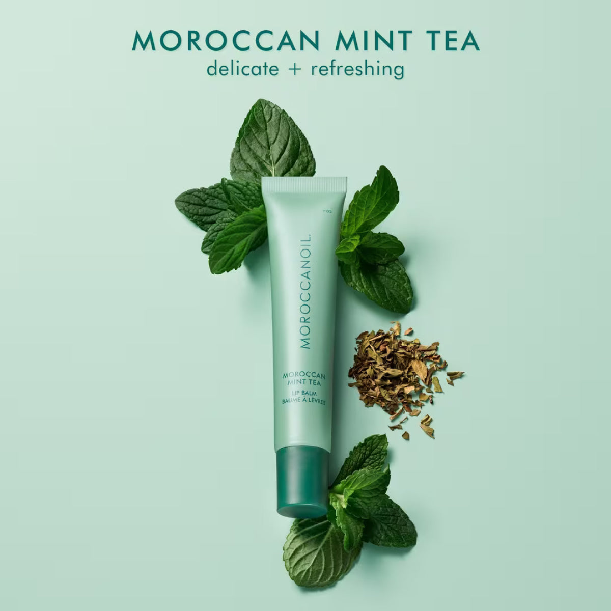 Moroccanoil Moroccan Mint Tea Lip Balm