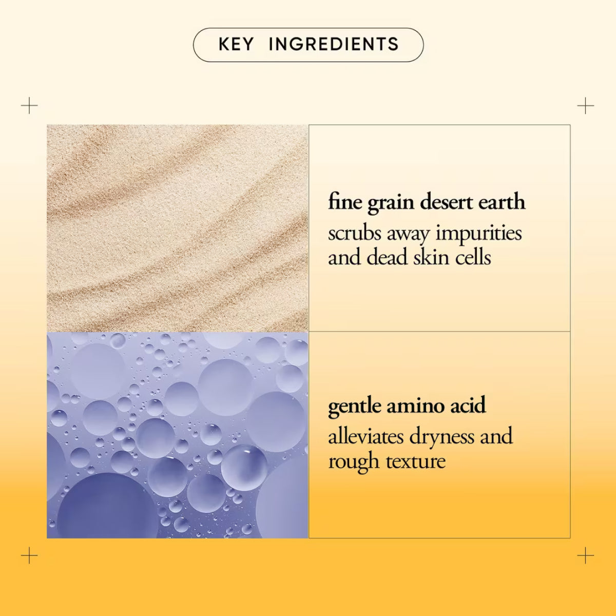 philosophy Microdelivery Exfoliating Daily Facial Wash