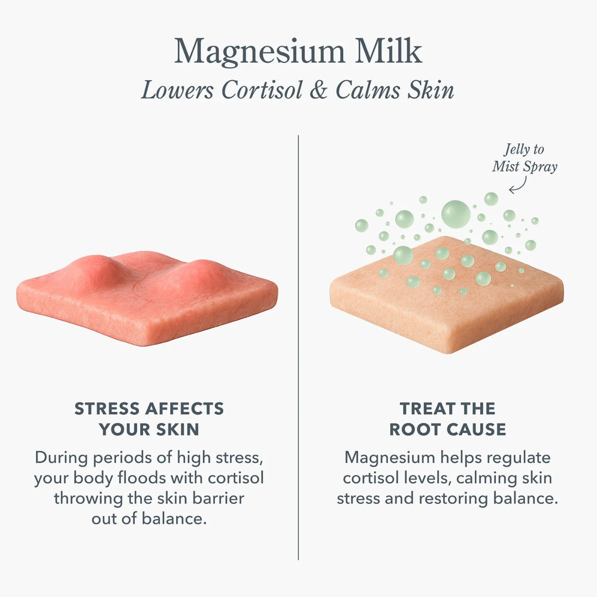 Beekman 1802 Magnesium Milk Barrier Reset Jelly Mist