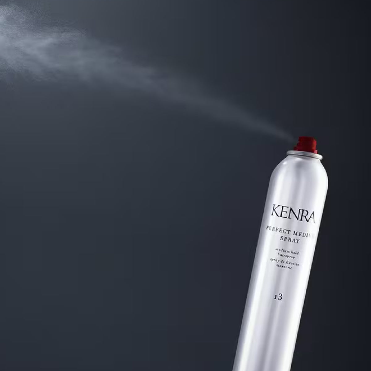 Kenra Perfect Medium Spray 13