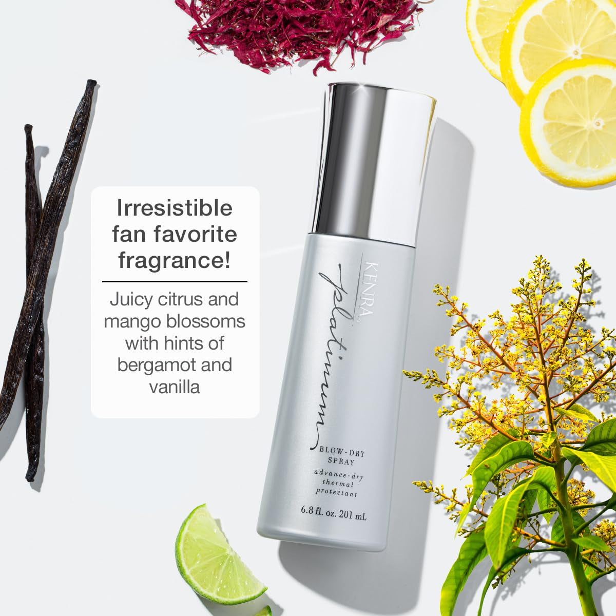 Kenra Platinum Blow-Dry Mist