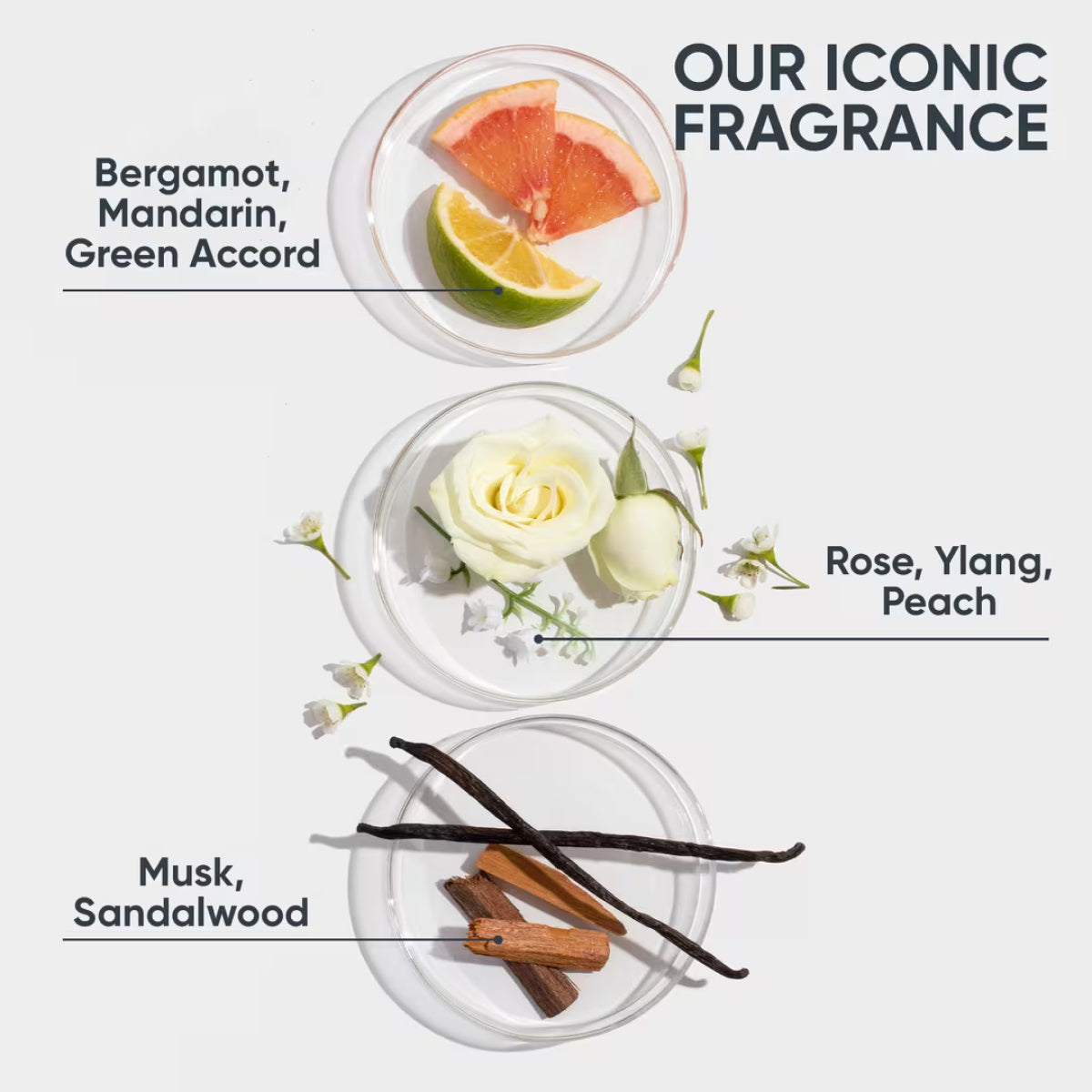 Biolage Hydra Source Detangling Solution