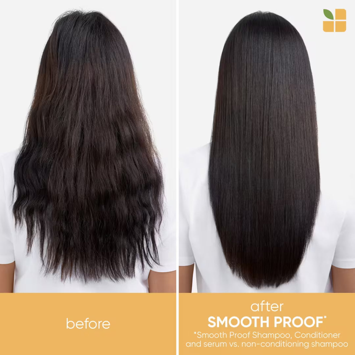 Biolage Smooth Proof Shampoo