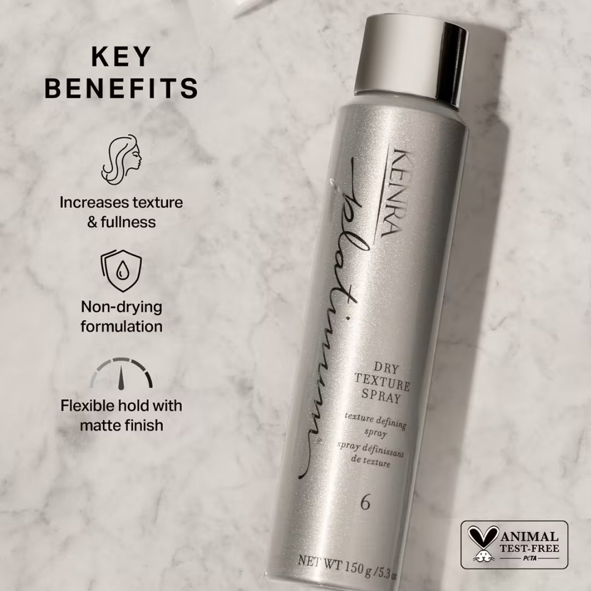 Kenra Platinum Dry Texture Spray 6