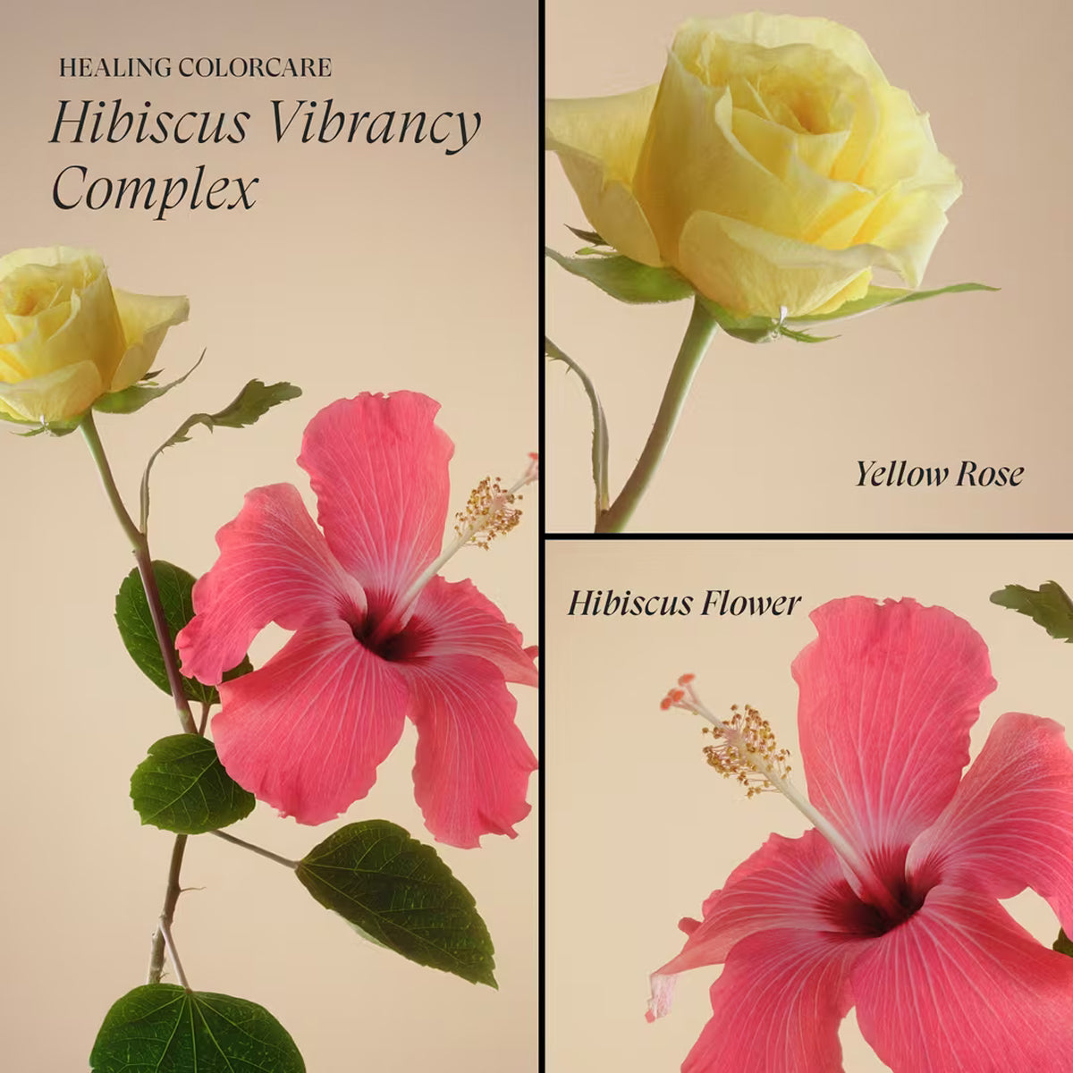 LANZA Healing ColorCare Color-Preserving Conditioner