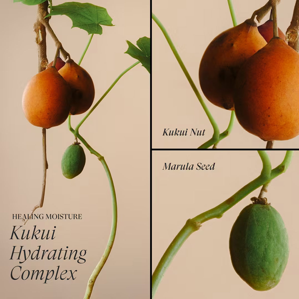 LANZA Healing Moisture Kukui Nut Conditioner