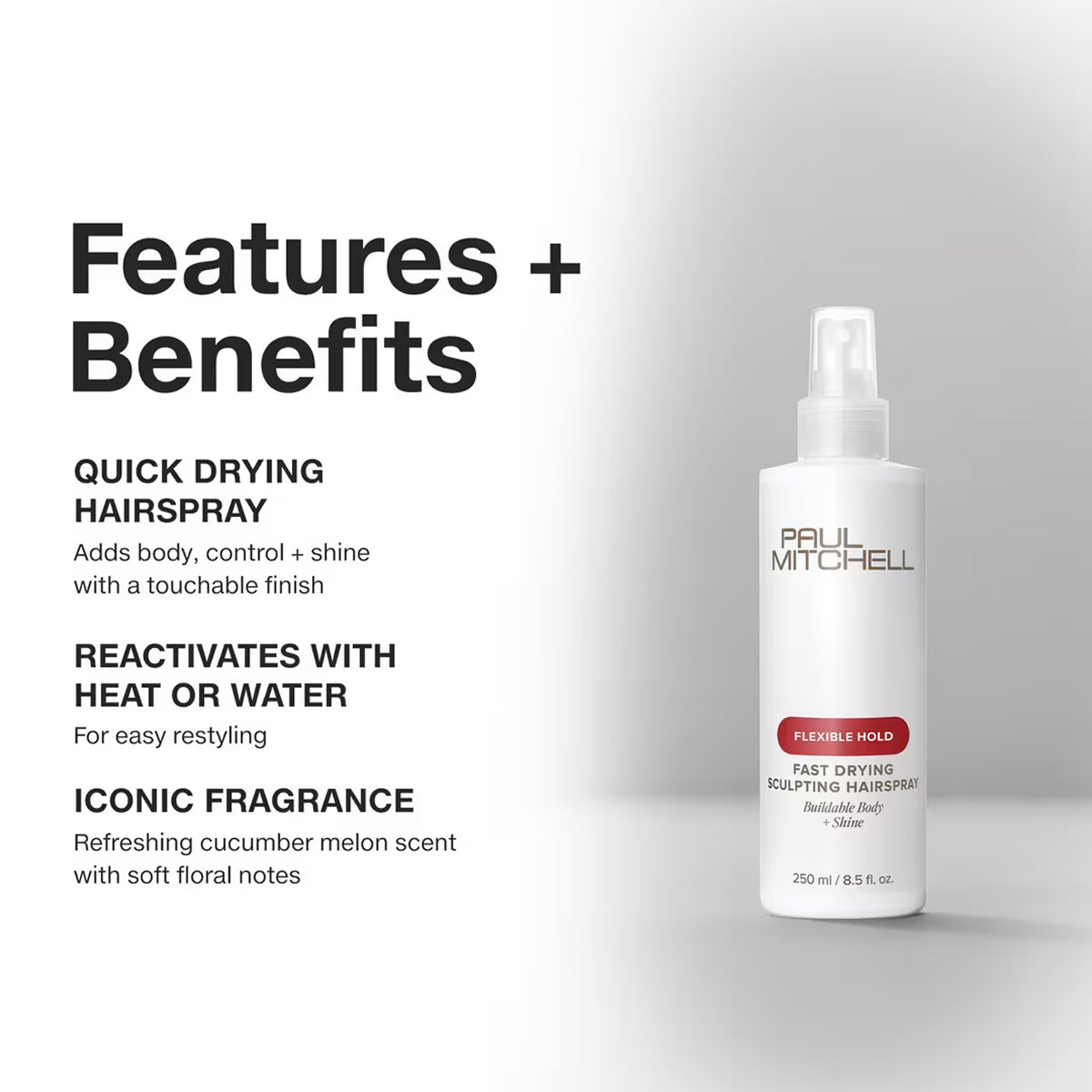 Paul Mitchell Fast Drying Sculpting Spray