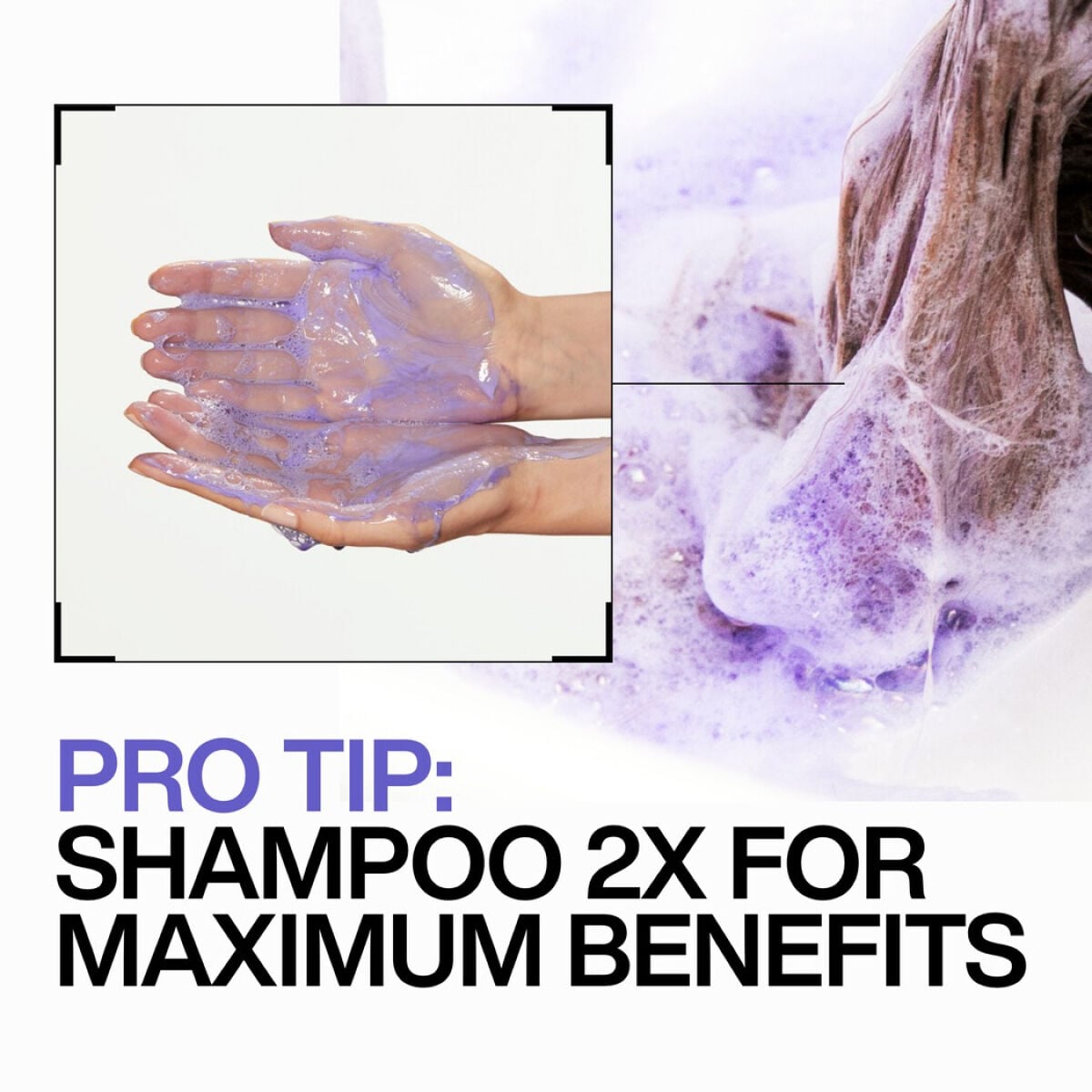 Hands holding purple gel shampoo with product lather demonstration on hair strands against white background.
