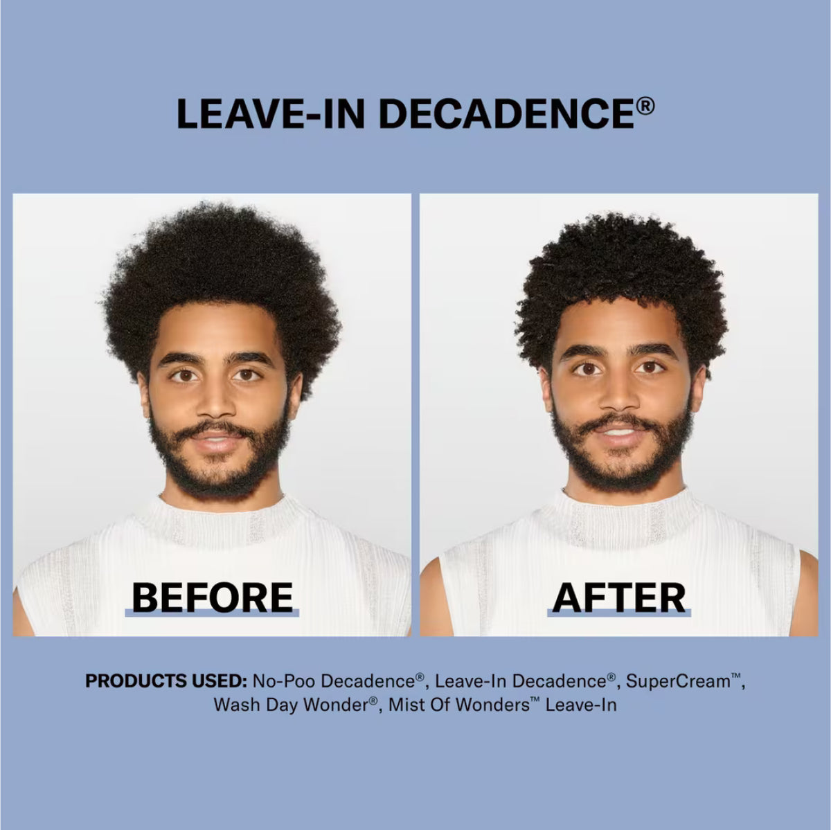 DevaCurl LEAVE-IN DECADENCE® Moisturizing Leave-In Conditioner