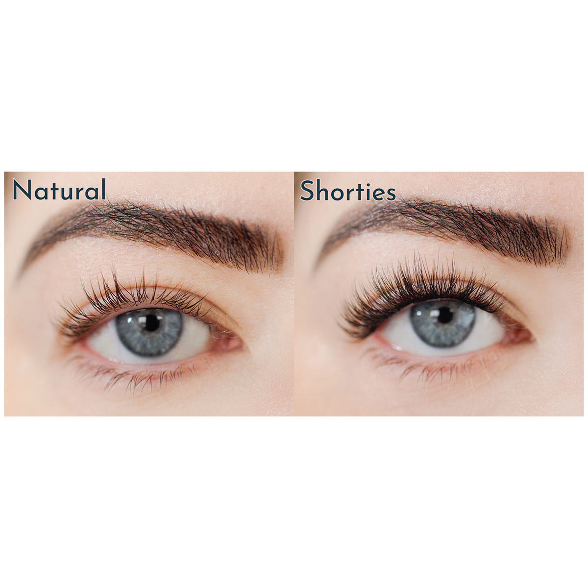 FlutterHabit Shorties 2-Pack