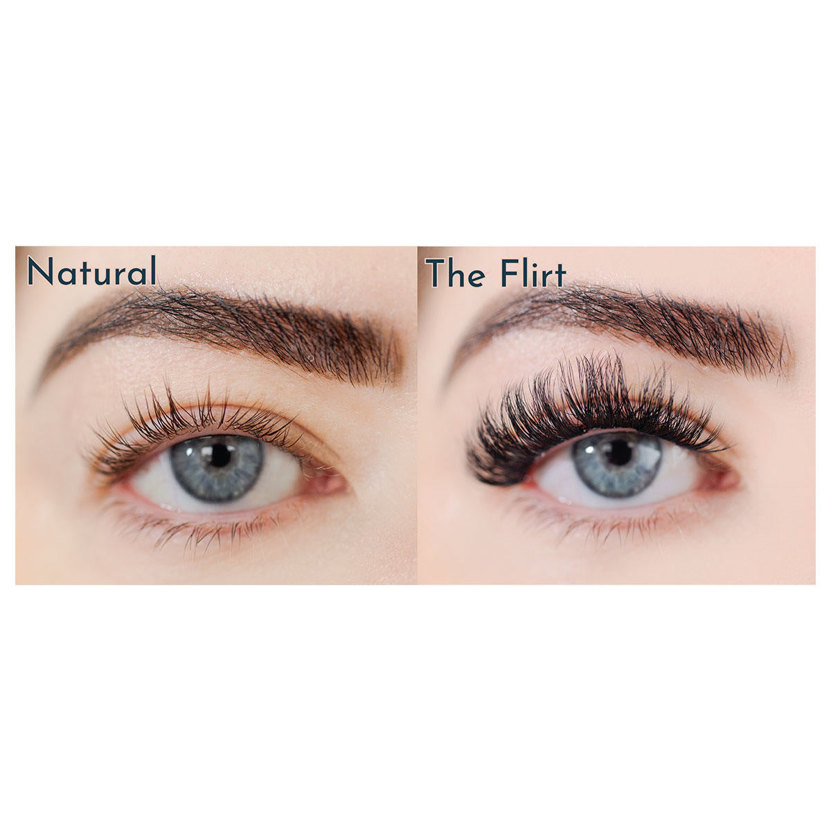 FlutterHabit The Flirt 2-Pack