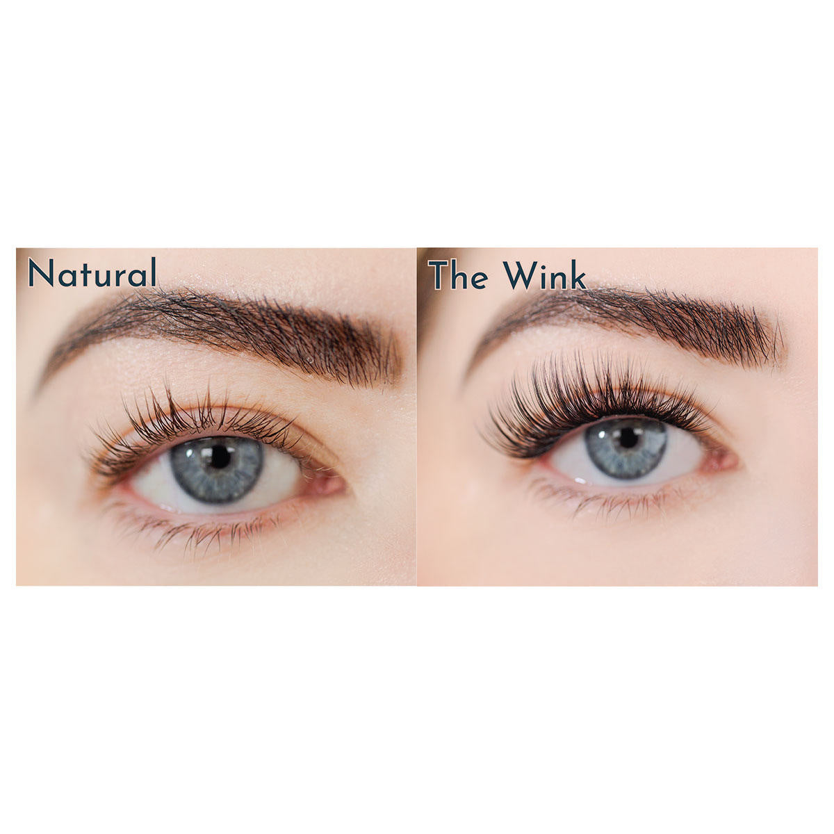 FlutterHabit The Wink 2-Pack