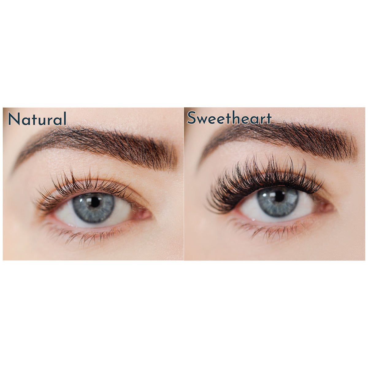 FlutterHabit The Sweetheart 6-Pack