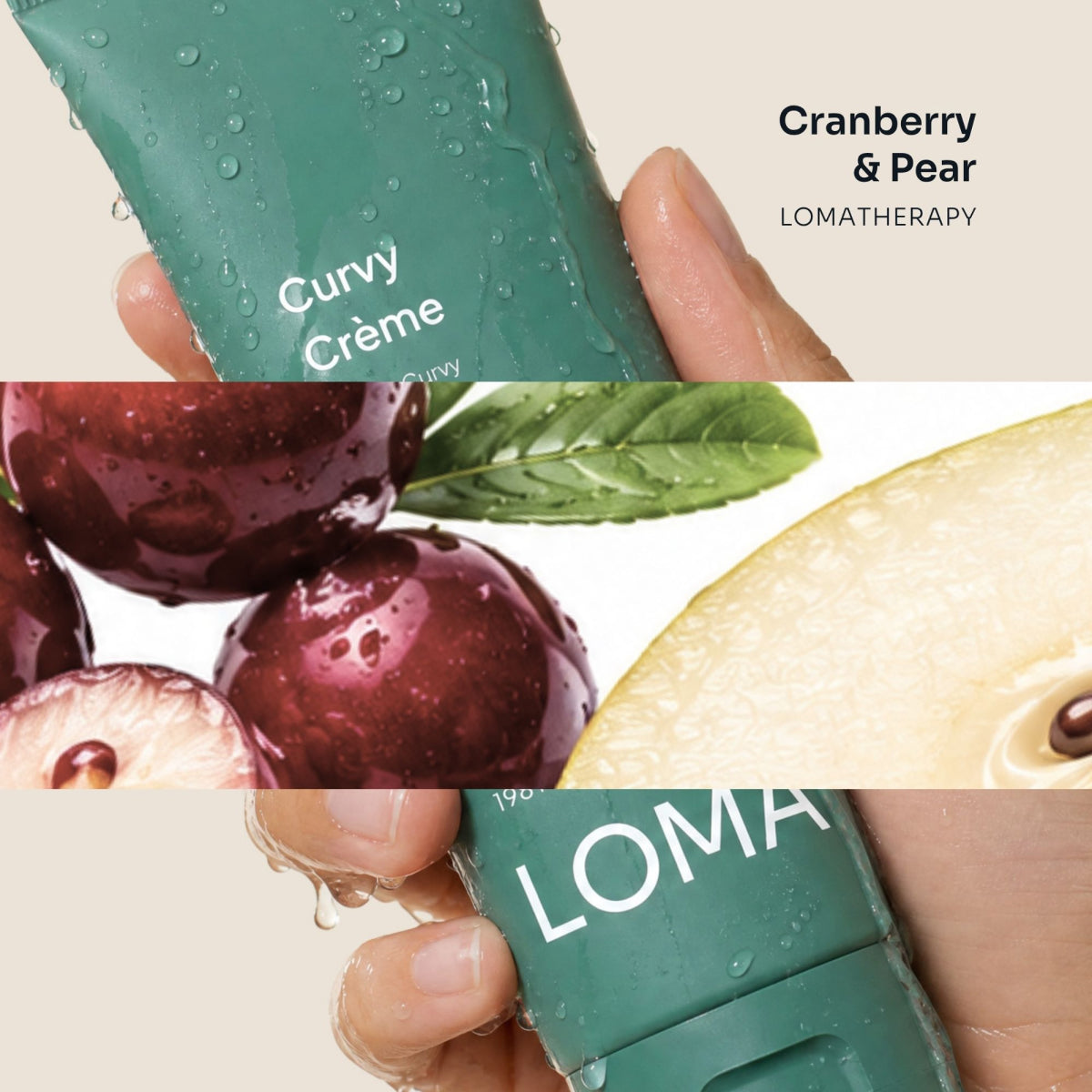 LOMA Curvy Creme