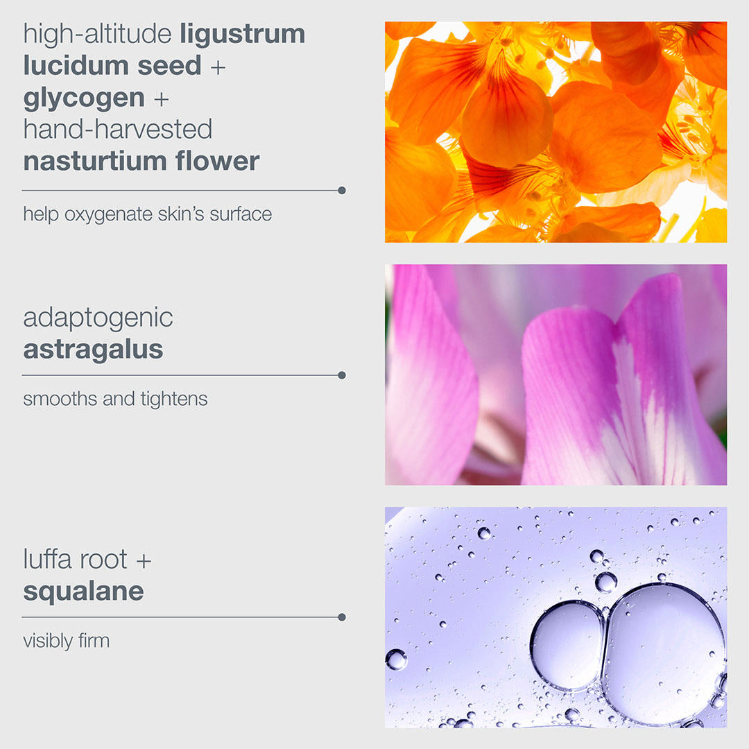 Dermalogica Phyto Nature Oxygen Cream