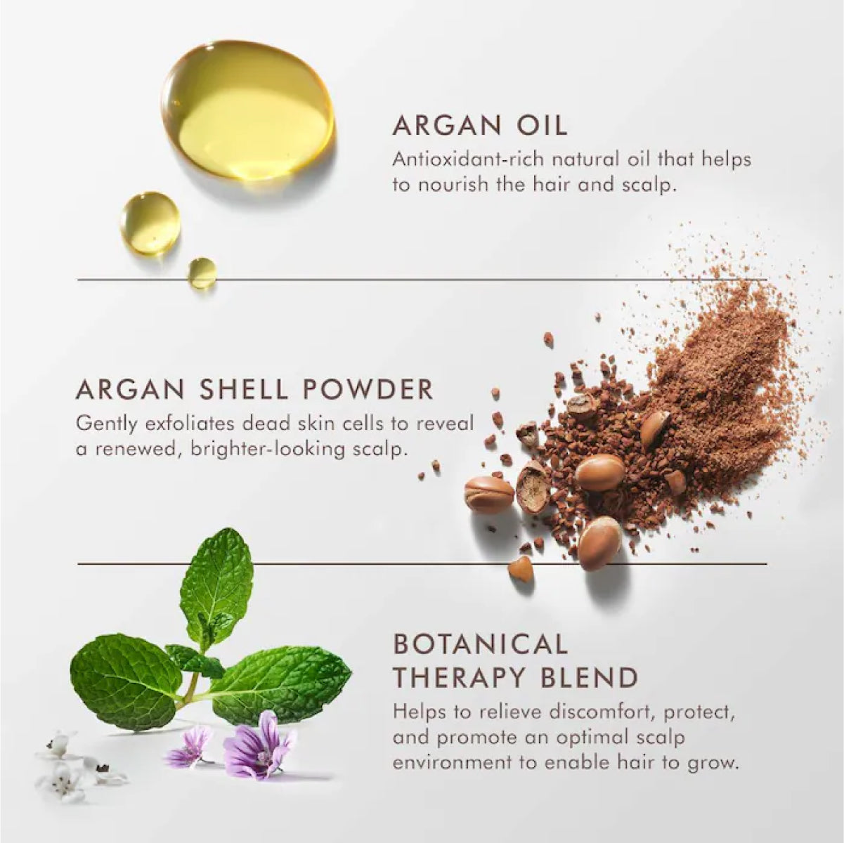 Moroccanoil Purifying Scrub