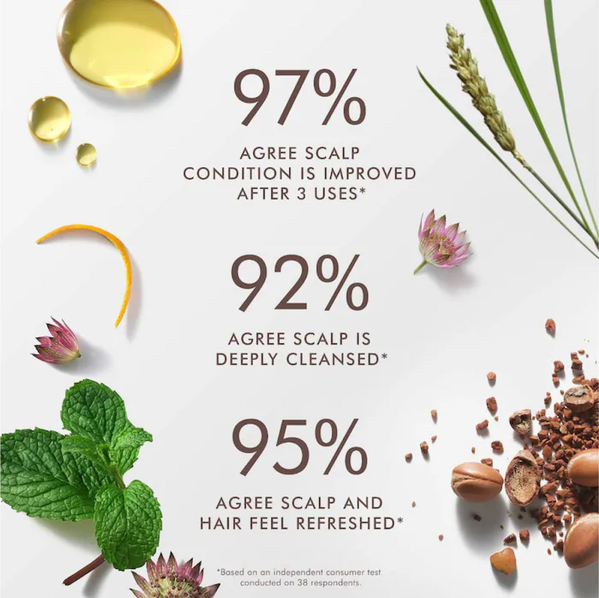 Moroccanoil Purifying Scrub