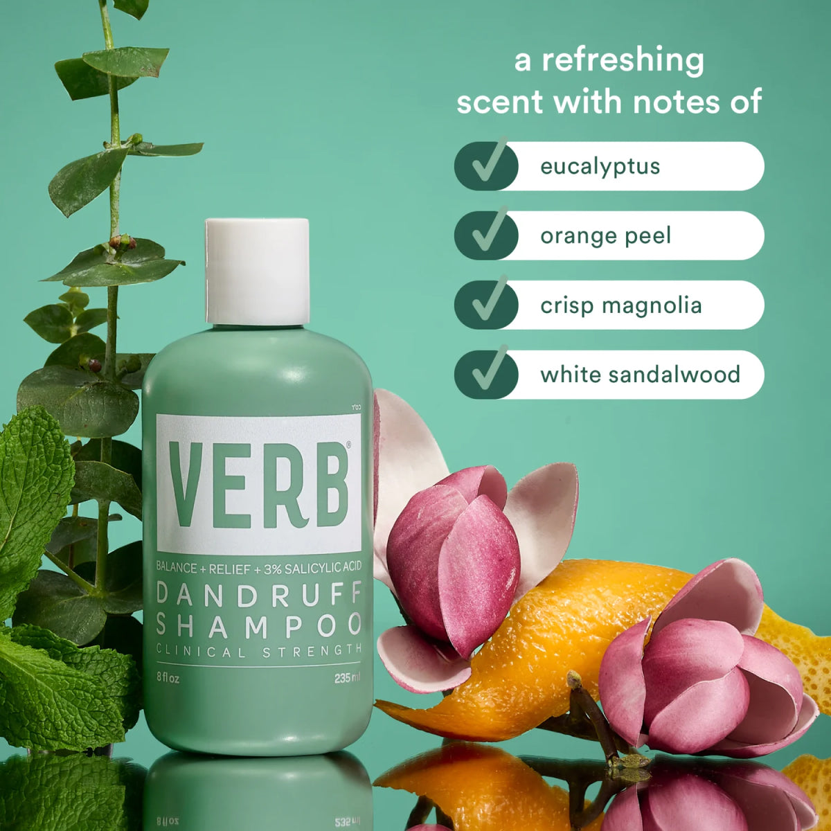 Verb Dandruff Shampoo