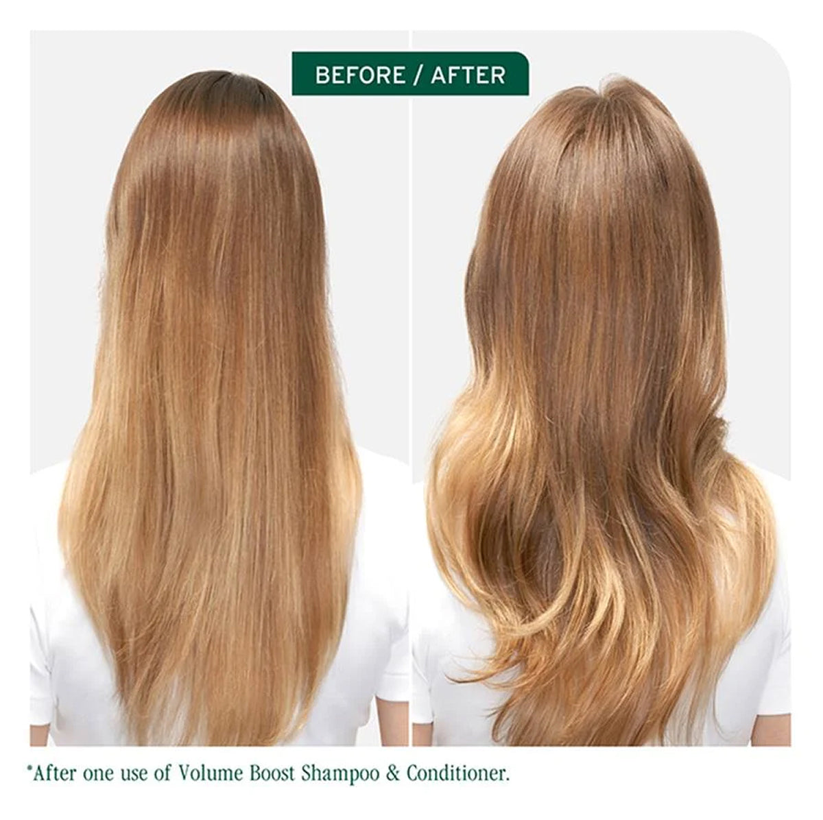 Biolage Volume Boost Shampoo