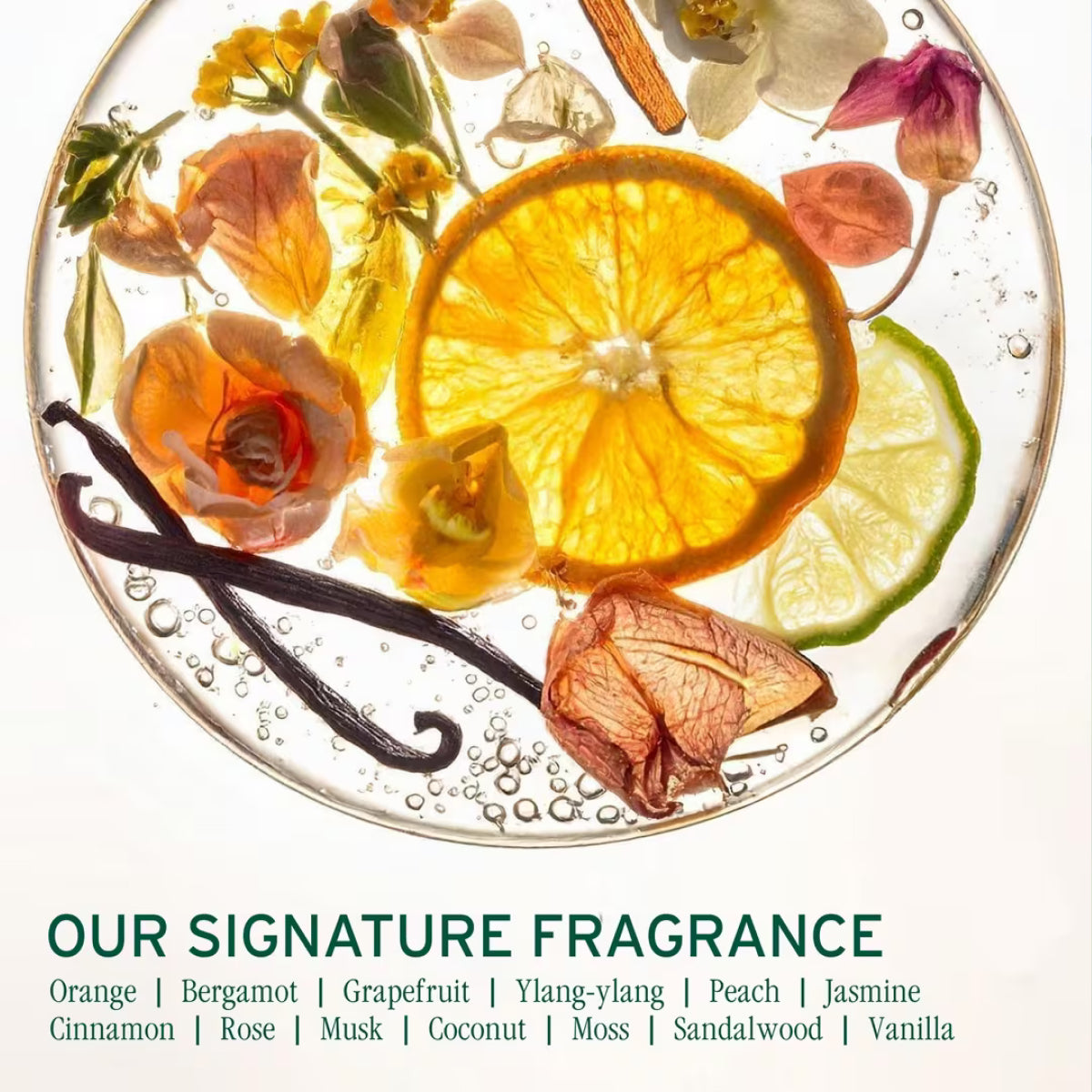 Biolage Scalp Sync Purifying Concentrate