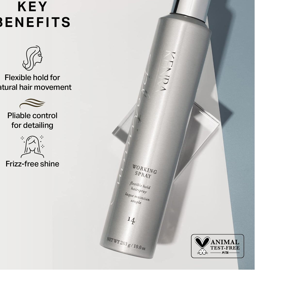 Kenra Platinum Working Spray 14