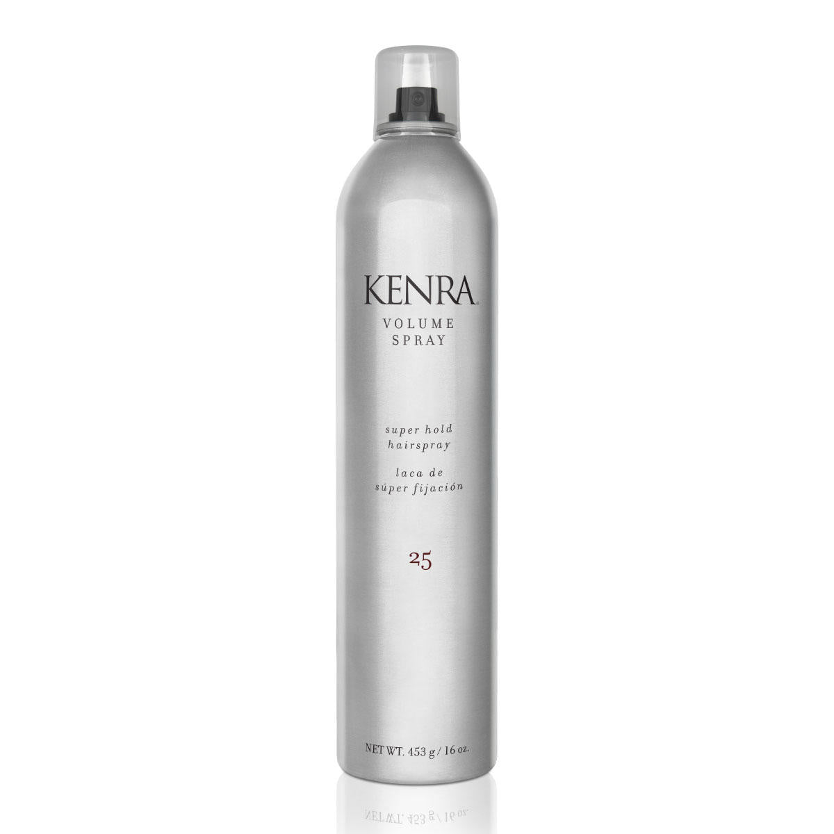 Kenra Volume Spray 25