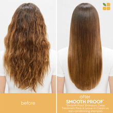 Biolage Smoothproof Leave-in Cream