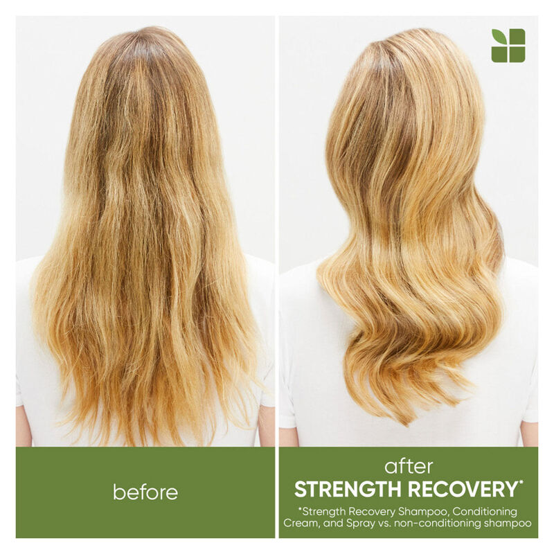 Biolage Strength Recovery Deep Treatment Pack image number 2